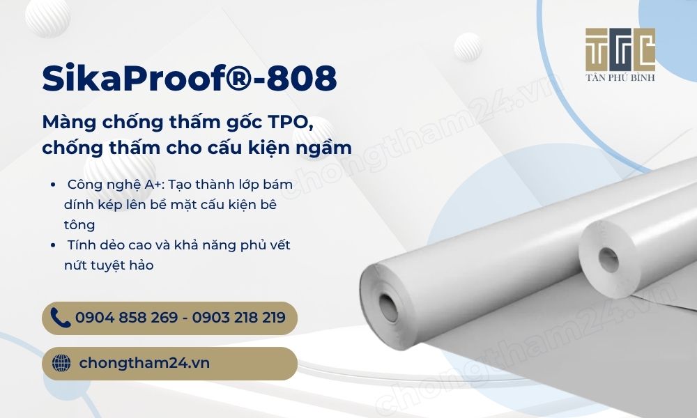 Màng chống thấm Sikaproof 808