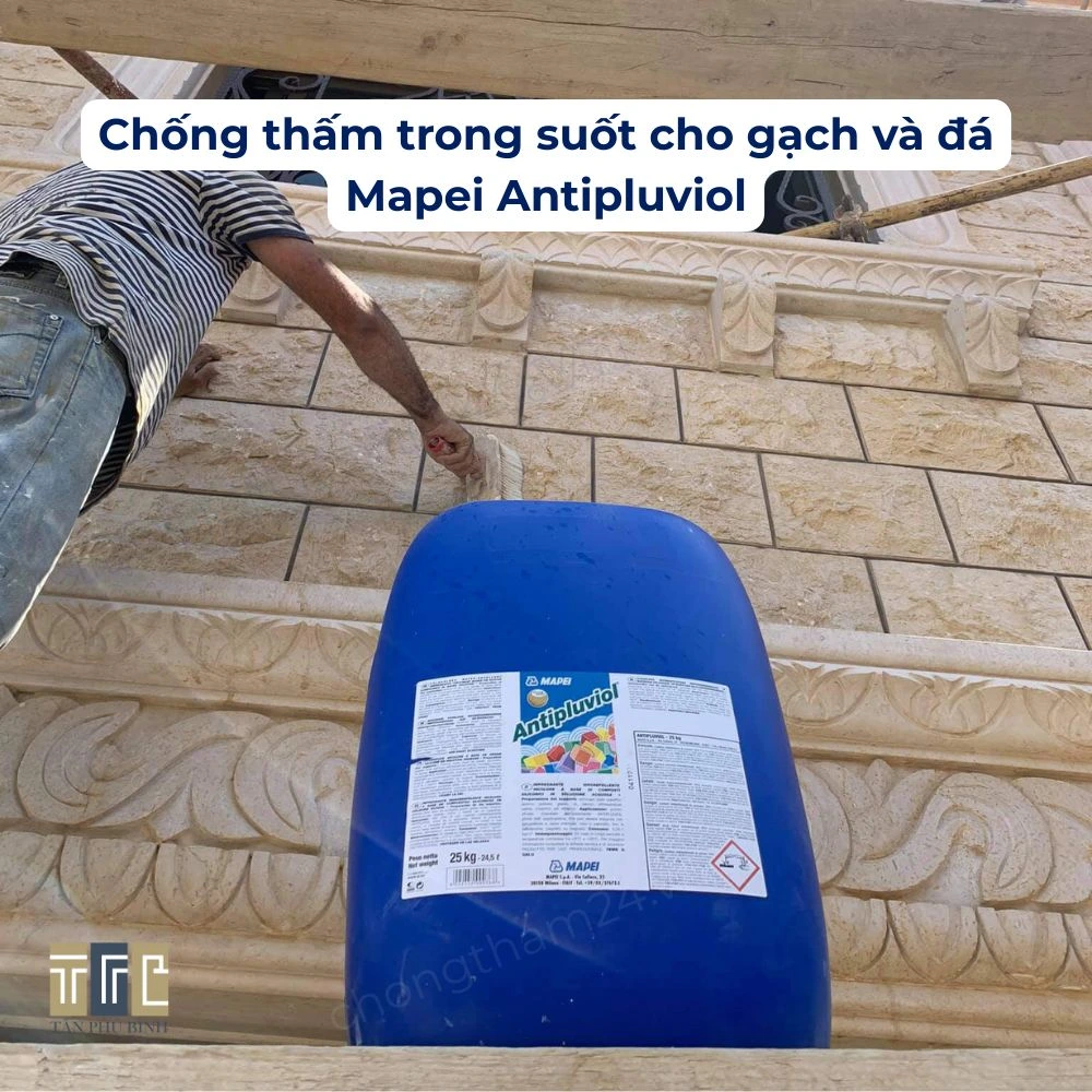 chống thấm Antipluviol