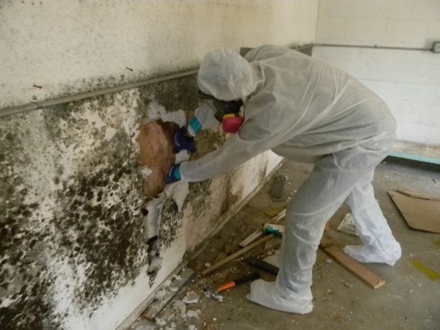 Chống thấm, chống ẩm mốc chân tường và cách xử lý