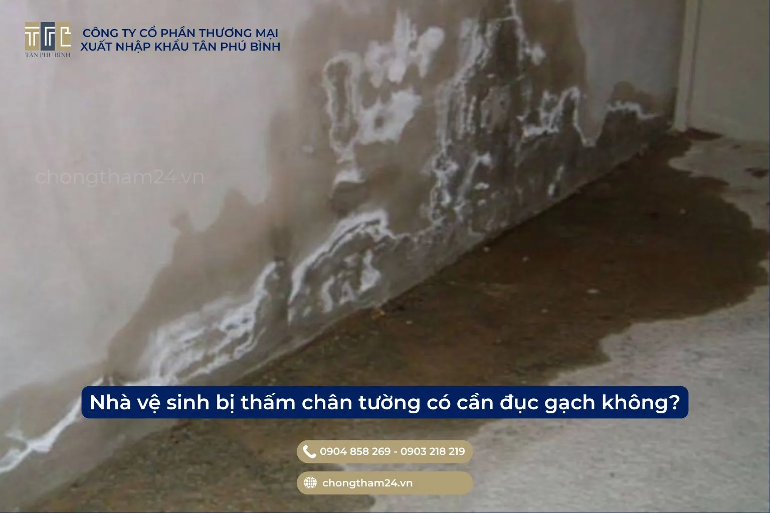 Nhà vệ sinh bị thấm chân tường có cần đục gạch không?