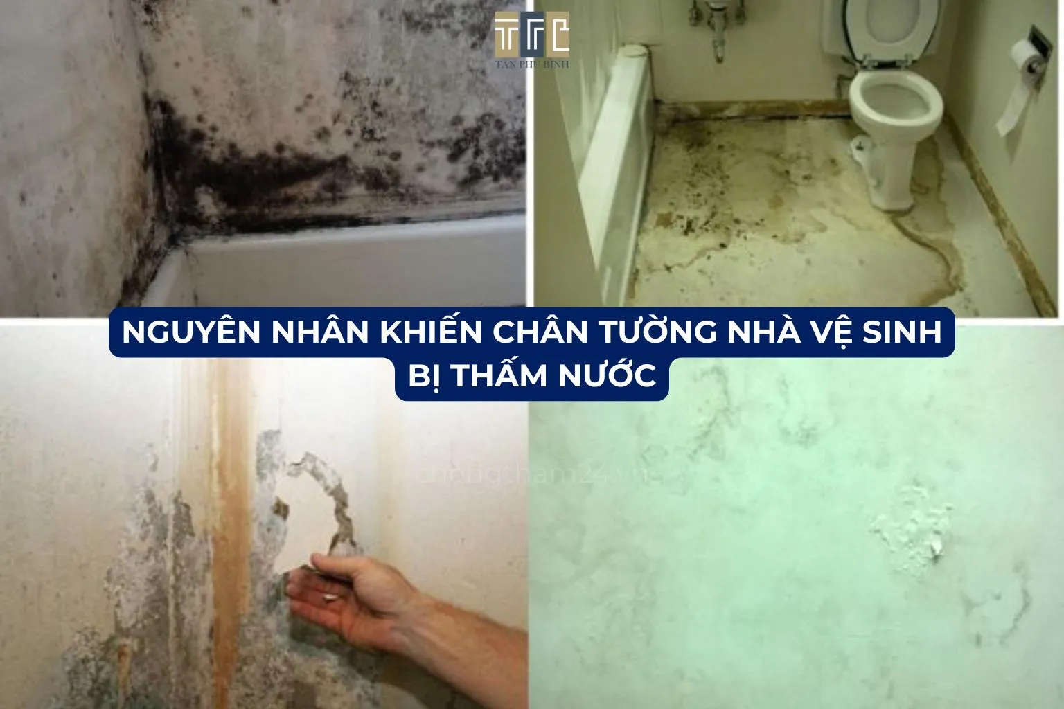 Nguyên nhân khiến chân tường nhà vệ sinh bị thấm nước